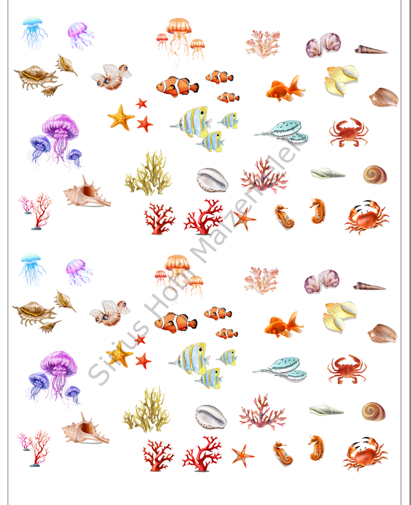 Epoksi Reçine Şeffaf Asetat Baskı  Deniz Altı A4