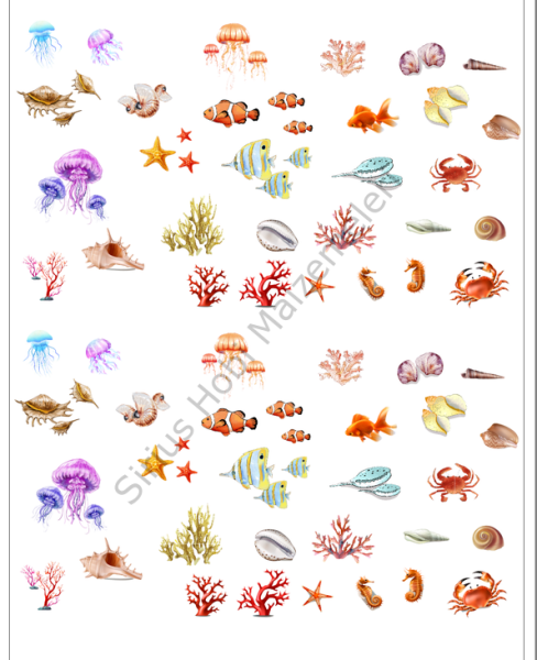 Epoksi Reçine Şeffaf Asetat Baskı  Deniz Altı A4