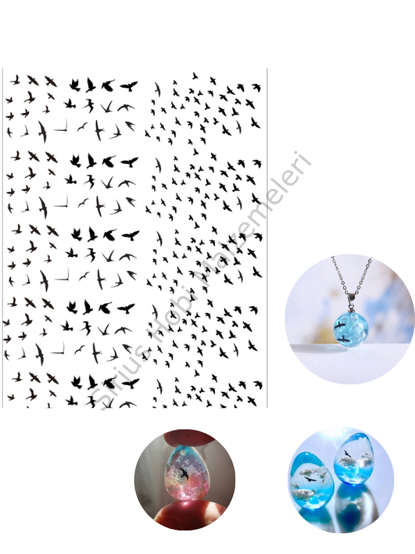 Epoksi Reçine Şeffaf Asetat Baskı  Kuşlar A4