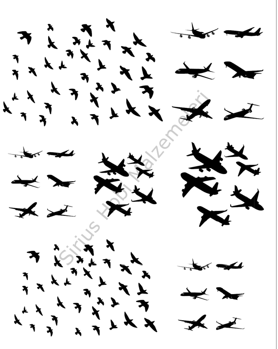 Epoksi Reçine Şeffaf Asetat Kuş Uçak A4
