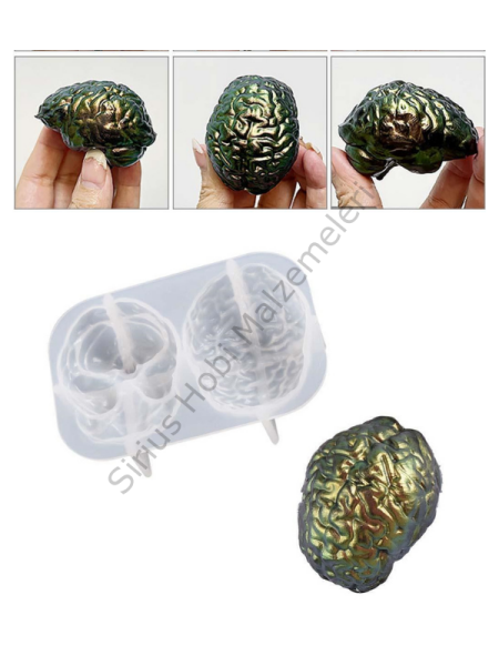 Epoksi Kalp Beyin Diyafram Kalıpları