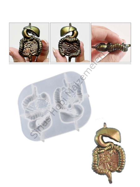 Epoksi Kalp Beyin Diyafram Kalıpları