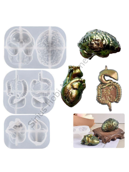 Epoksi Kalp Beyin Diyafram Kalıpları