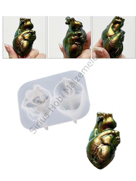 Epoksi Kalp Beyin Diyafram Kalıpları