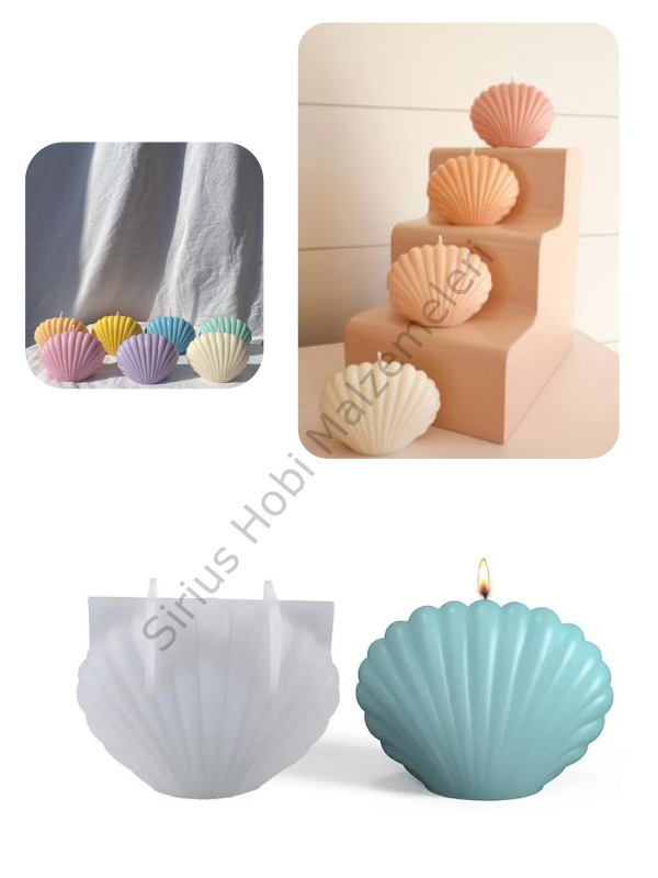 3D Midye Mum Kalıbı