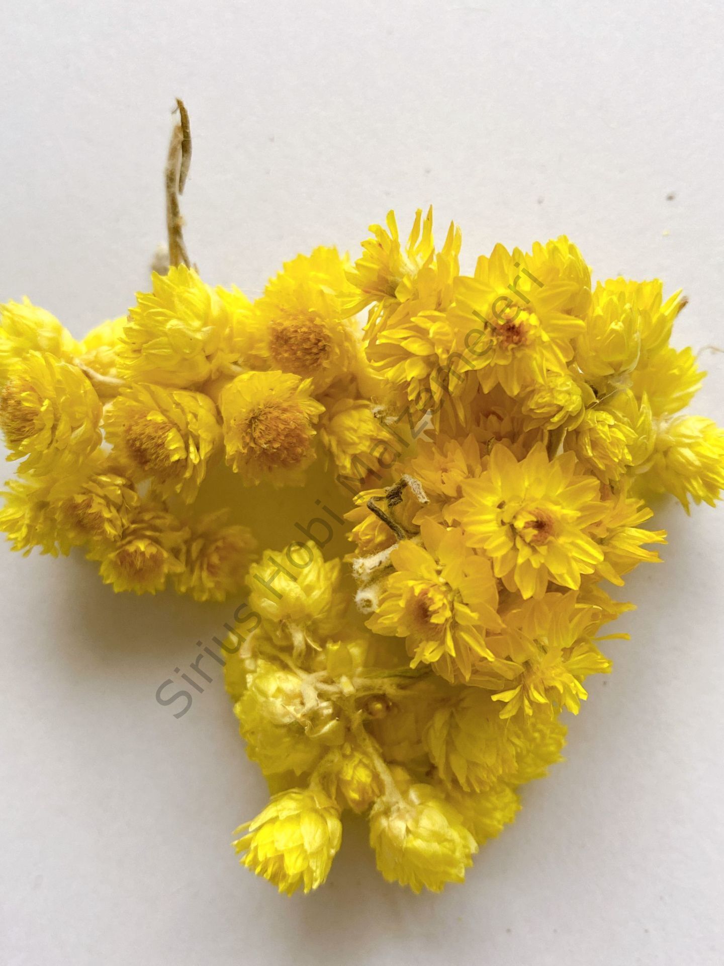 Sarı Kuru çiçek 1 paket