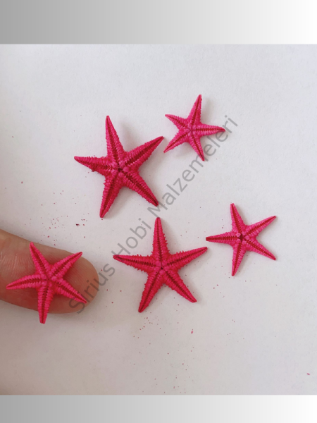 5 adet Pembe Gerçek Deniz Yıldızı