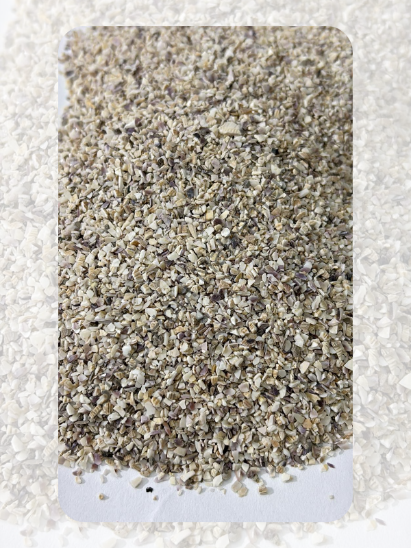 Doğal Midye Kumu İnce Taneli Deniz Kabuğu Granül (Epoksi ve Dekor İçin) 100gr