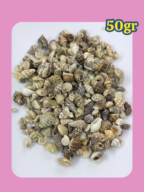 Karışık Minik Deniz Kabukları 50 Gr | Epoksi UV Reçine Dekoratif Dolgu Malzemesi