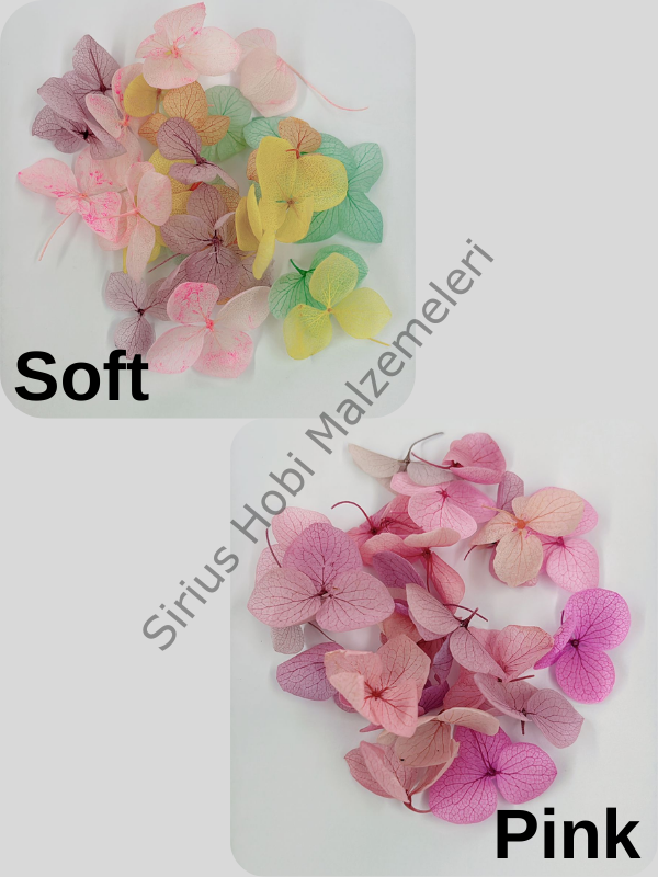 Renkli Minik Ortanca Yaprakları 25 adet