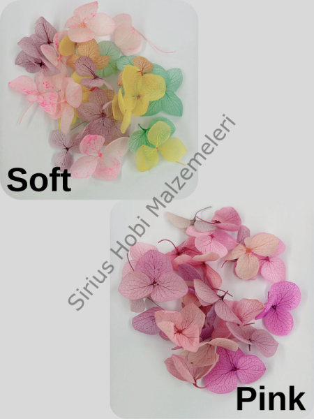 Renkli Minik Ortanca Yaprakları 25 adet