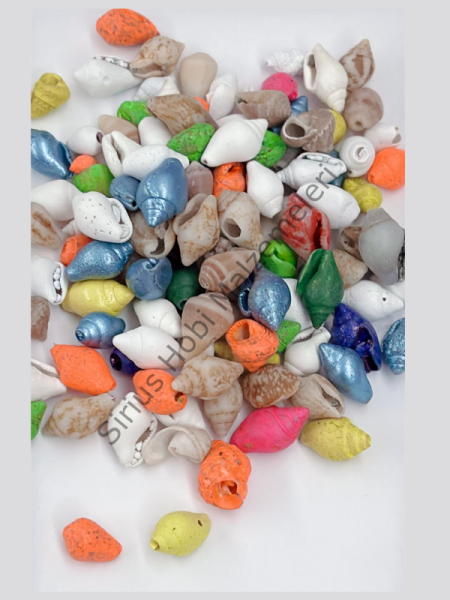 Renkli Deniz Kabuğu 25gr