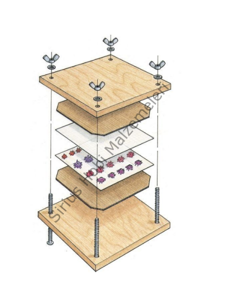 Epoksi Reçine Çiçek Press Seti