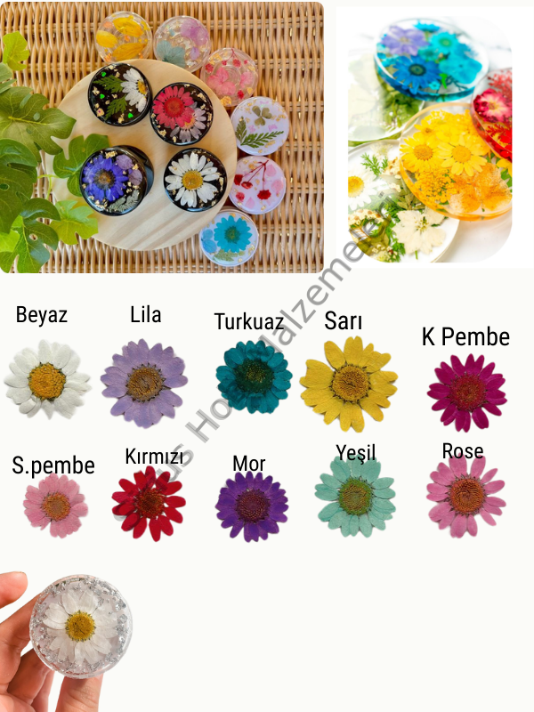 Epoksi Reçine Tasarım Kuru Çiçek, Kurutulmuş Press Çiçekler 6 adet