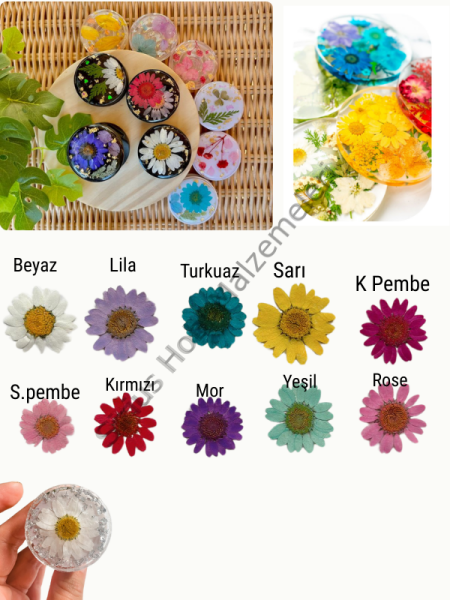 Epoksi Reçine Tasarım Kuru Çiçek, Kurutulmuş Press Çiçekler 6 adet