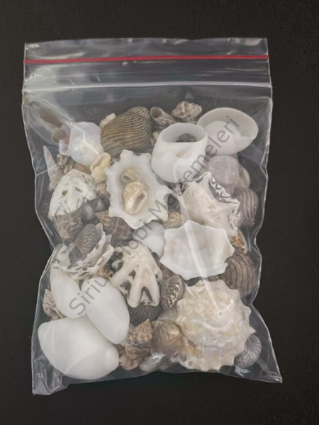 Mix DenizKabukları 50 gr
