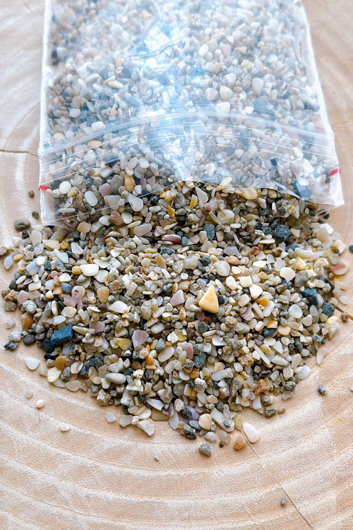 Minik Midye Kırığı Çakıl Taşları 100 gr