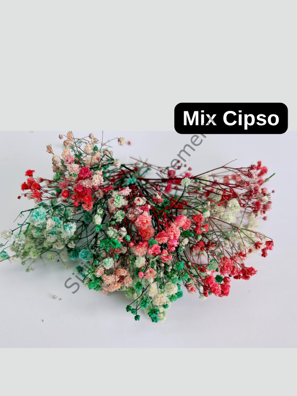 Epoksi Reçine Kurutulmuş Karışık Çiçekler