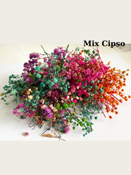 Epoksi Reçine Kurutulmuş Karışık Çiçekler