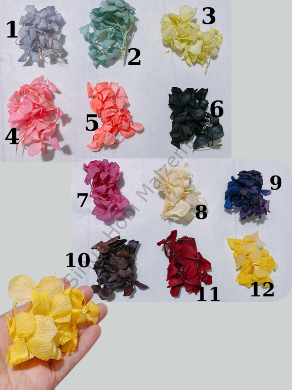 Epoksi Reçine Kurutulmuş Ortanca Çiçekleri