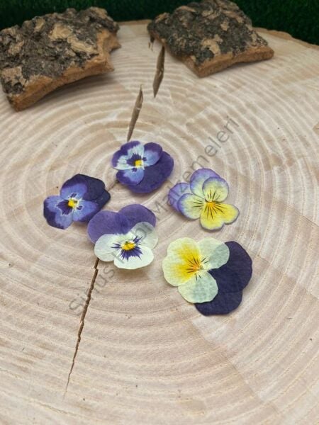 5 adet Kuru Menekşe (Karışık Renkte Gönderilir)