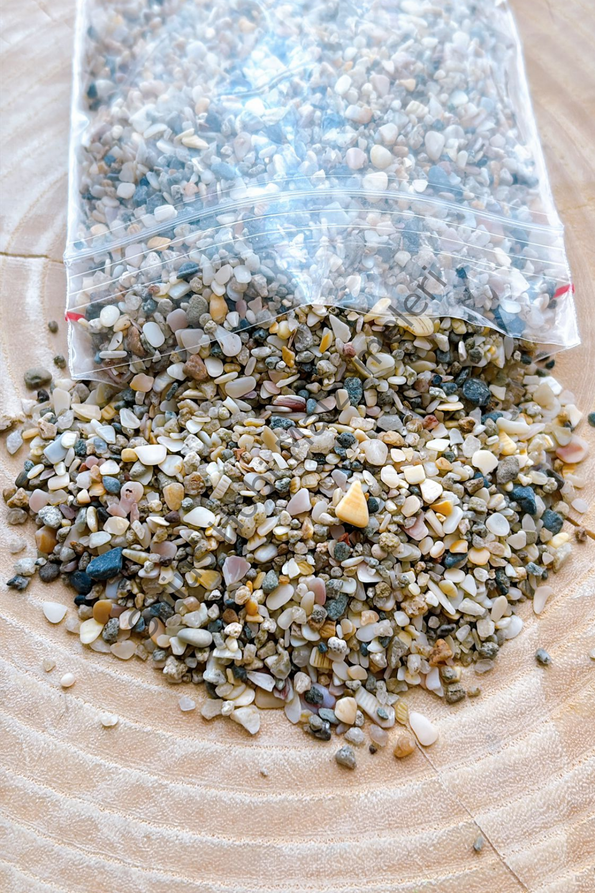 Minik Midye Kırığı Çakıl Taşları 100 gr