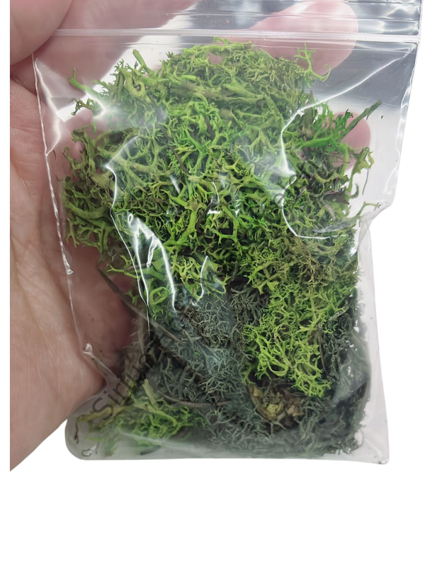 Doğal Yosun Artıkları 10-12 gr– Epoksi, Maket ve Dekoratif Çalışmalar İçin