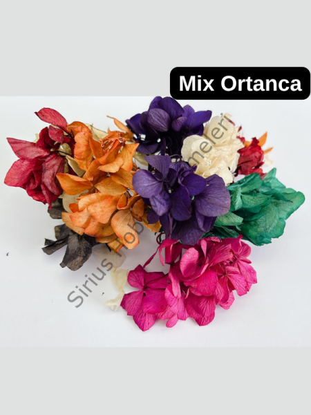 Mix Ortanca Kurutulmuş Çiçek Seti – Epoksi, Mum ve Reçine Tasarımları İçin