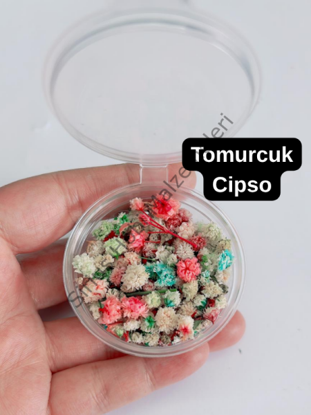 Mix Tomurcuk Çiçek Kutusu 25cc